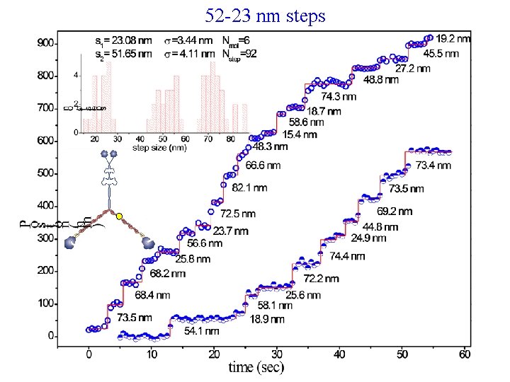 52 -23 nm steps 