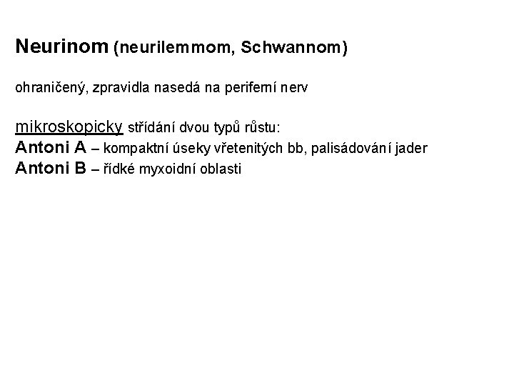 Neurinom (neurilemmom, Schwannom) ohraničený, zpravidla nasedá na periferní nerv mikroskopicky střídání dvou typů růstu: