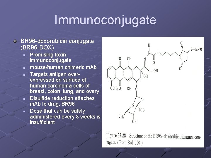 Immunoconjugate BR 96 -doxorubicin conjugate (BR 96 -DOX) n n n Promising toxinimmunoconjugate mouse/human