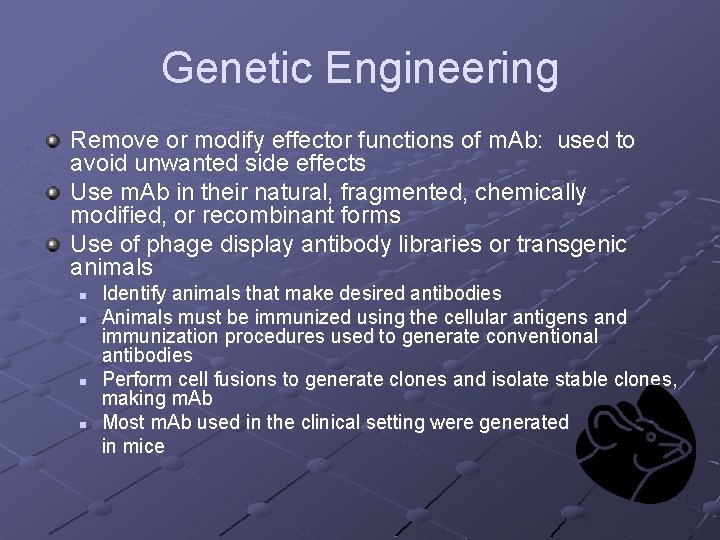 Genetic Engineering Remove or modify effector functions of m. Ab: used to avoid unwanted