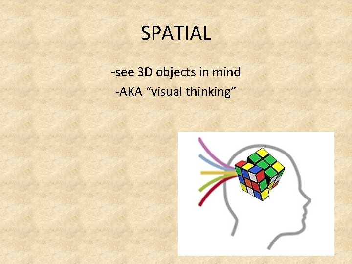SPATIAL -see 3 D objects in mind -AKA “visual thinking” 