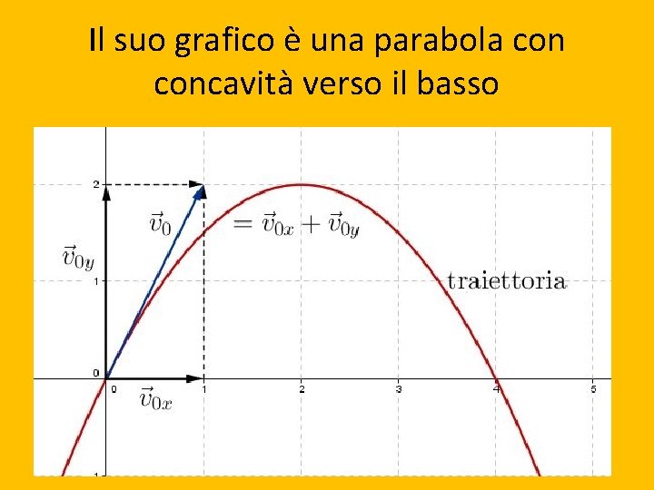 Il suo grafico è una parabola concavità verso il basso 