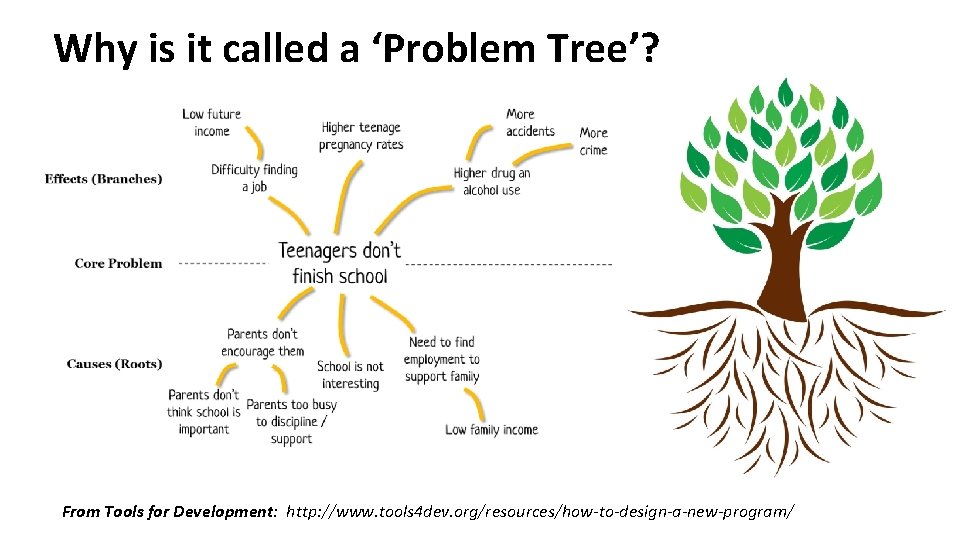 Why is it called a ‘Problem Tree’? From Tools for Development: http: //www. tools