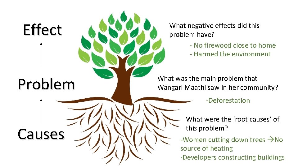 Effect Problem What negative effects did this problem have? - No firewood close to