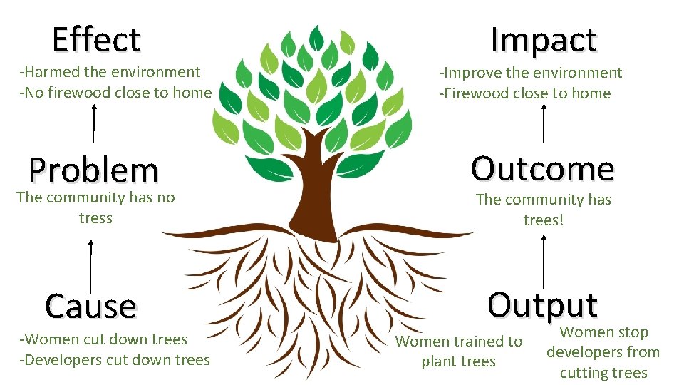 Effect -Harmed the environment -No firewood close to home Problem The community has no