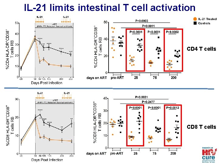 IL-21 limits intestinal T cell activation CD 4 T cells CD 8 T cells