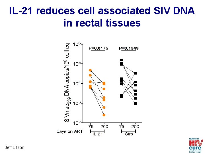 IL-21 reduces cell associated SIV DNA in rectal tissues Jeff Lifson 