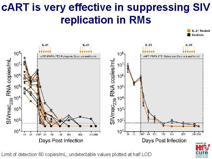 c. ART is very effective in suppressing SIV replication in RMs Limit of detection