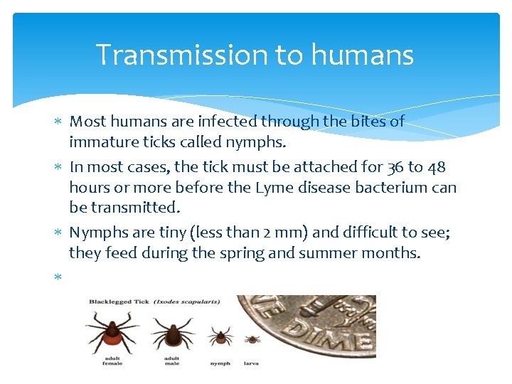 Transmission to humans Most humans are infected through the bites of immature ticks called