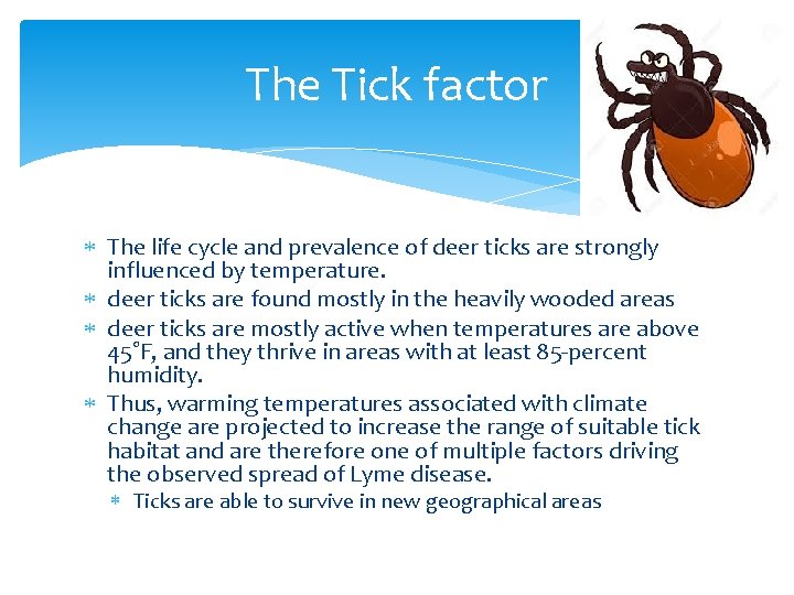 The Tick factor The life cycle and prevalence of deer ticks are strongly influenced