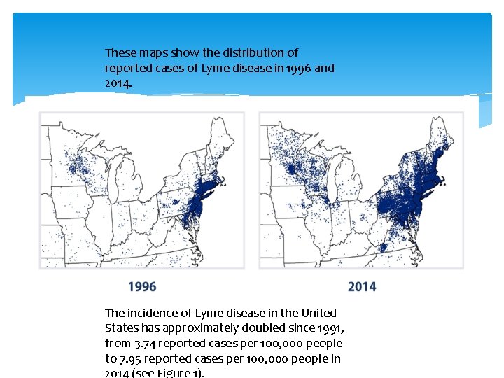 These maps show the distribution of reported cases of Lyme disease in 1996 and