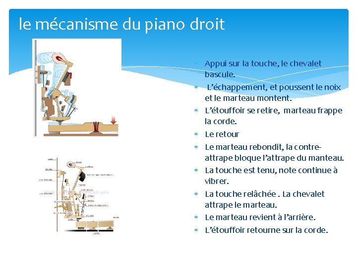 le mécanisme du piano droit Appui sur la touche, le chevalet bascule. L’échappement, et