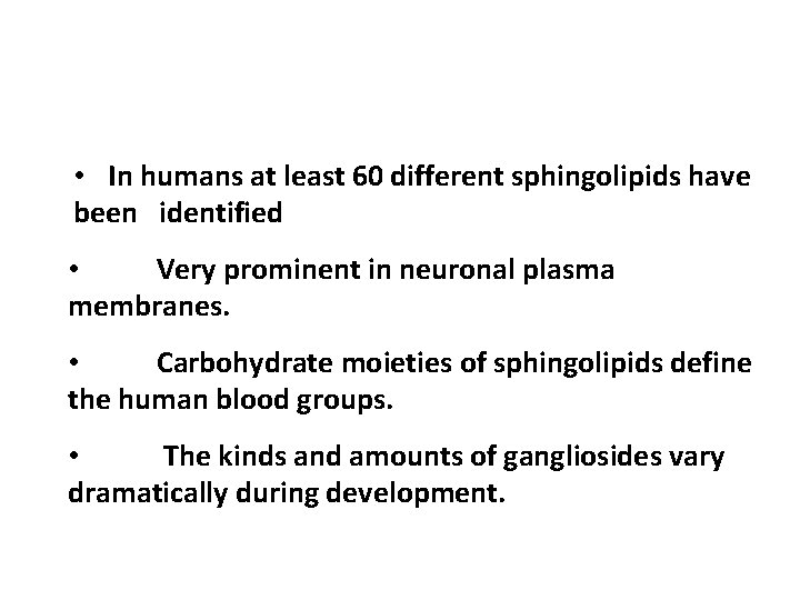  • In humans at least 60 different sphingolipids have been identified • Very