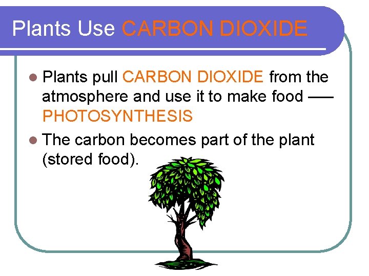 Plants Use CARBON DIOXIDE l Plants pull CARBON DIOXIDE from the atmosphere and use