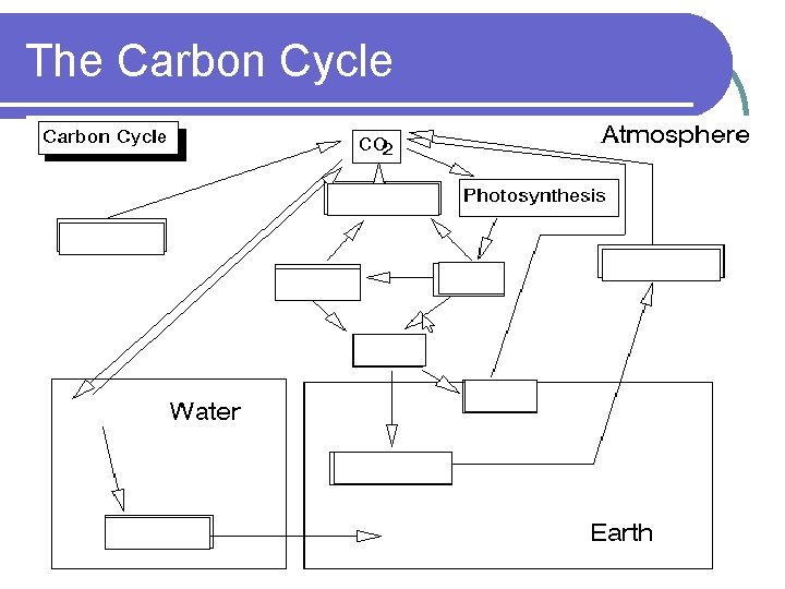 The Carbon Cycle 