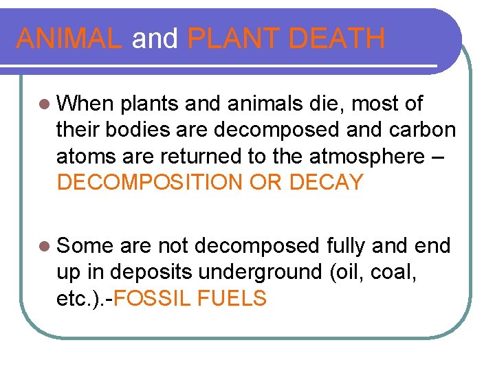 ANIMAL and PLANT DEATH l When plants and animals die, most of their bodies