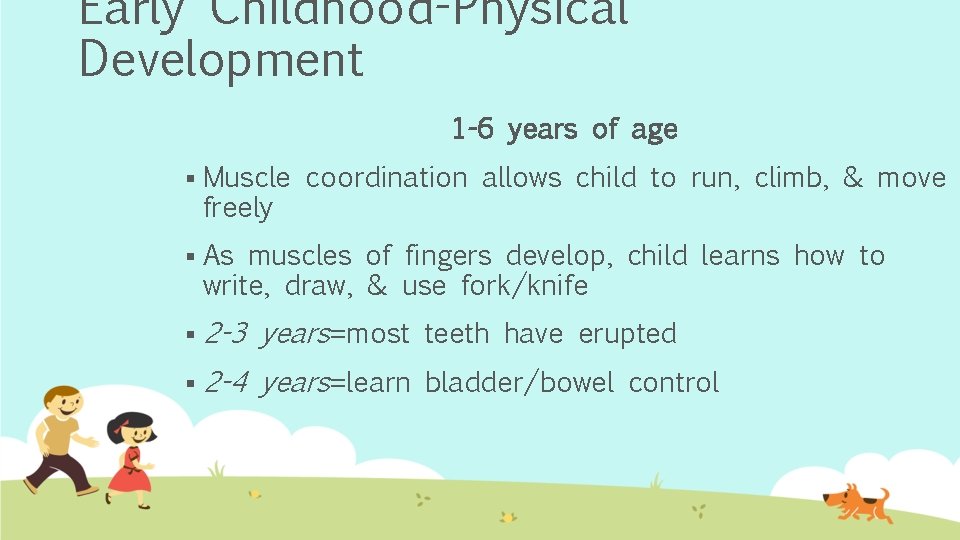 Early Childhood-Physical Development 1 -6 years of age § Muscle coordination allows child to