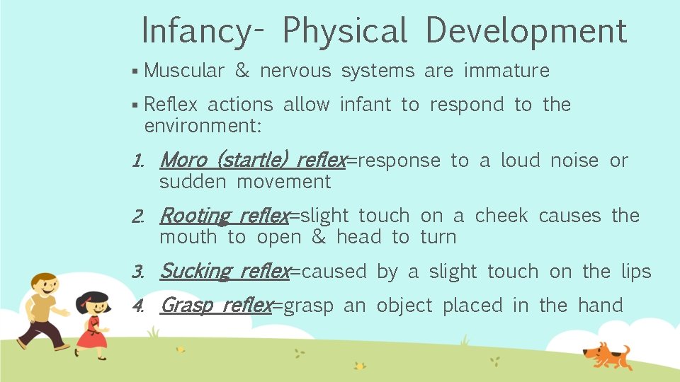 Infancy- Physical Development § Muscular & nervous systems are immature § Reflex actions allow