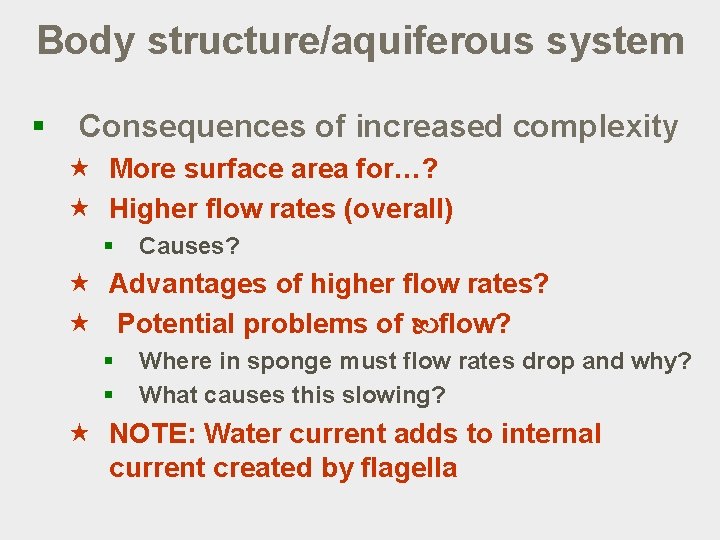Body structure/aquiferous system § Consequences of increased complexity « More surface area for…? «