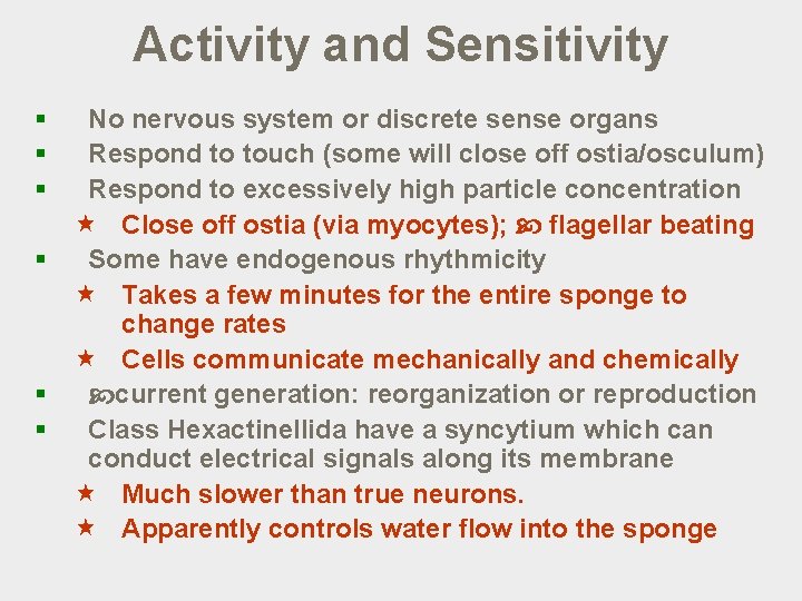 Activity and Sensitivity § § § No nervous system or discrete sense organs Respond