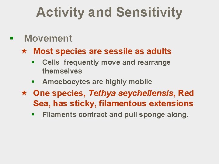 Activity and Sensitivity § Movement « Most species are sessile as adults § §