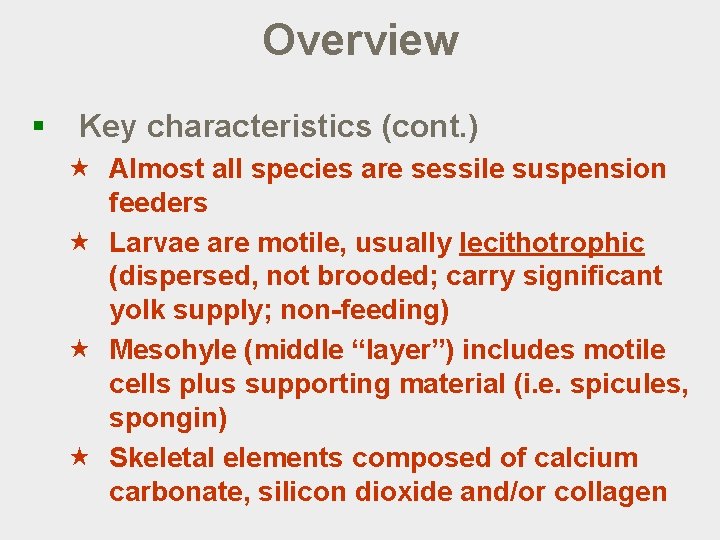 Invertebrate Zoology Lecture 5 Phylum Porifera Lecture outline