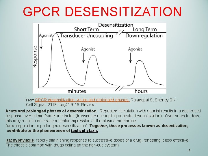 GPCR DESENSITIZATION From GPCR desensitization: Acute and prolonged phases. Rajagopal S, Shenoy SK. Cell