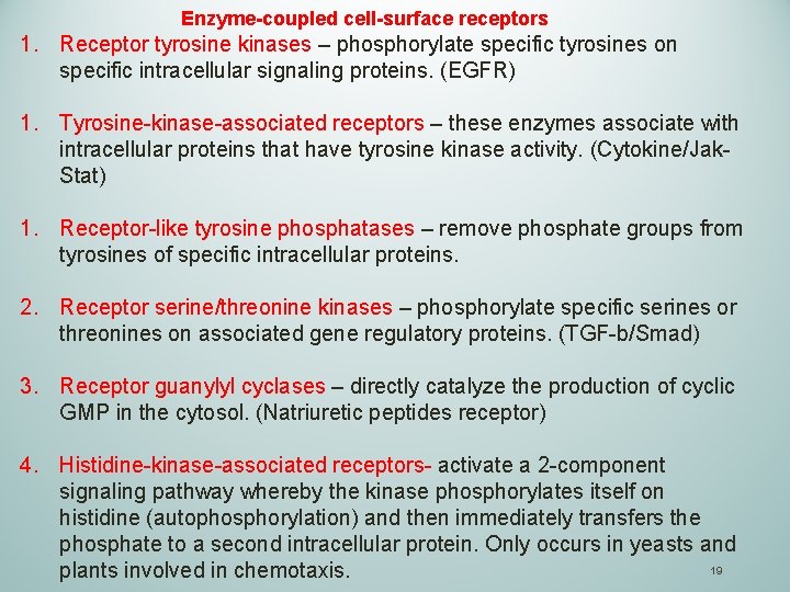 Enzyme-coupled cell-surface receptors 1. Receptor tyrosine kinases – phosphorylate specific tyrosines on specific intracellular