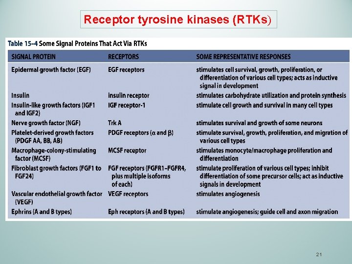 Receptor tyrosine kinases (RTKs) 21 