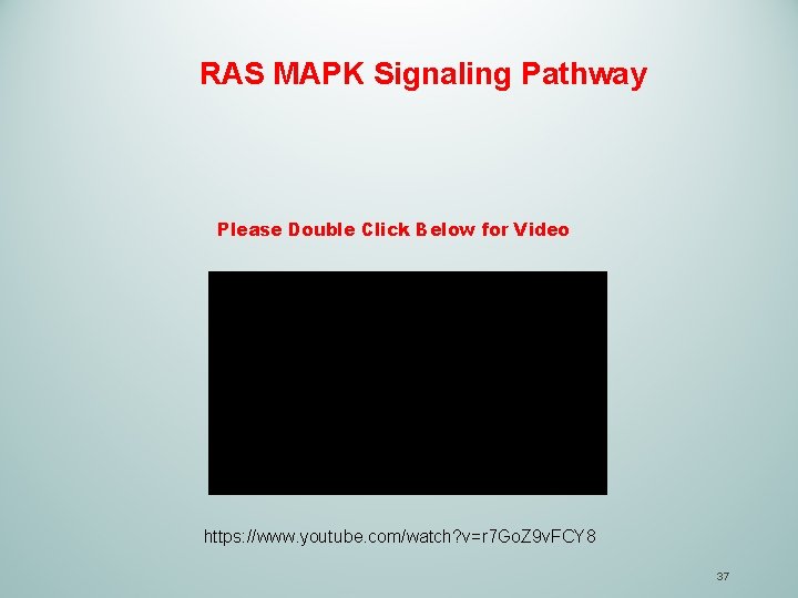 RAS MAPK Signaling Pathway Please Double Click Below for Video https: //www. youtube. com/watch?