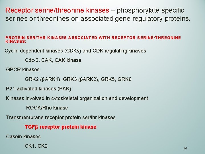 Receptor serine/threonine kinases – phosphorylate specific serines or threonines on associated gene regulatory proteins.