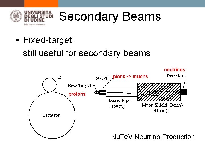 Secondary Beams • Fixed-target: still useful for secondary beams neutrinos pions -> muons protons