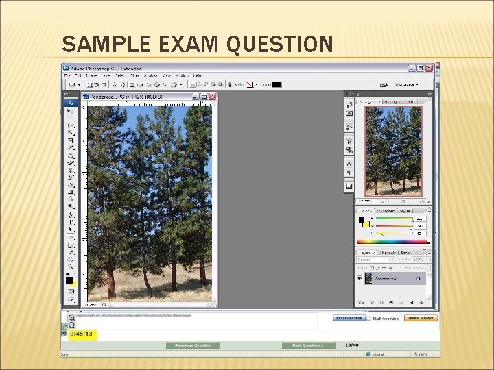 SAMPLE EXAM QUESTION 