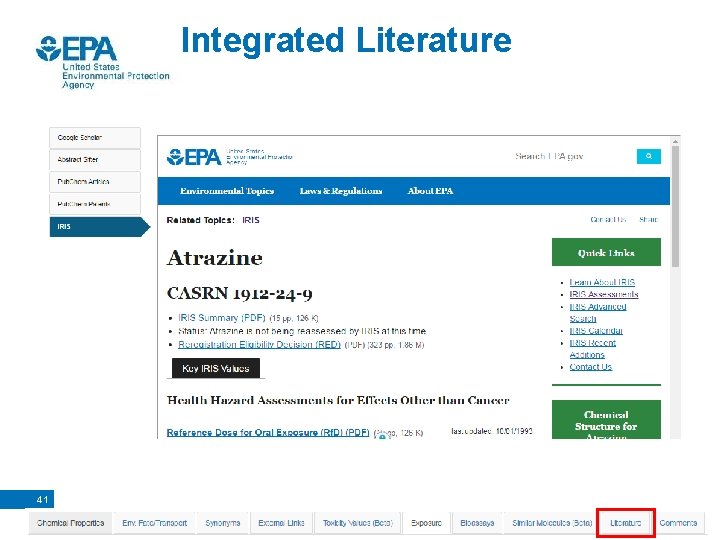 Integrated Literature 41 