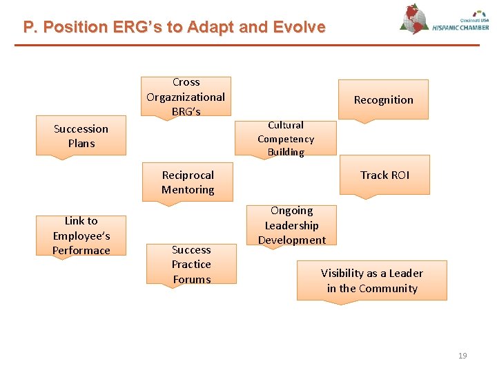 P. Position ERG’s to Adapt and Evolve Cross Orgaznizational BRG’s Succession Plans Recognition Cultural