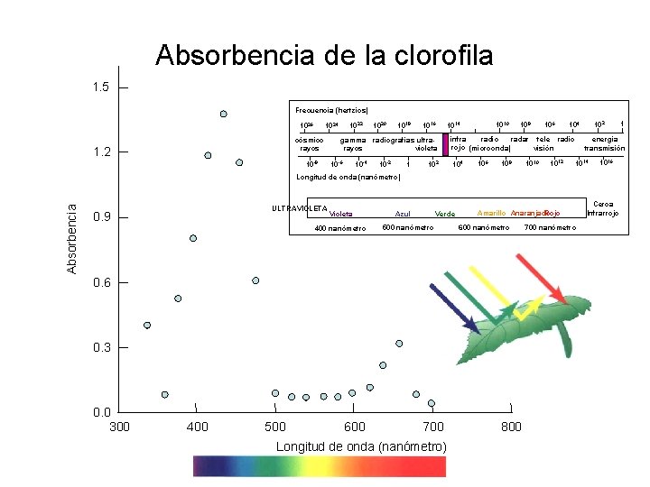 Absorbencia de la clorofila 1. 5 Frecuencia (hertzios) 1026 cósmico rayos 1. 2 1024