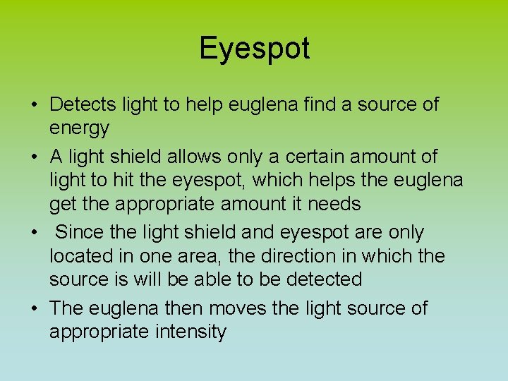Eyespot • Detects light to help euglena find a source of energy • A