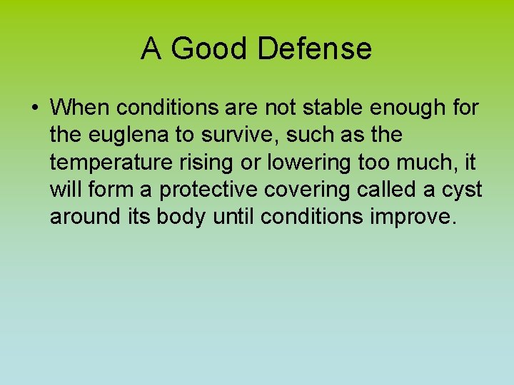 A Good Defense • When conditions are not stable enough for the euglena to