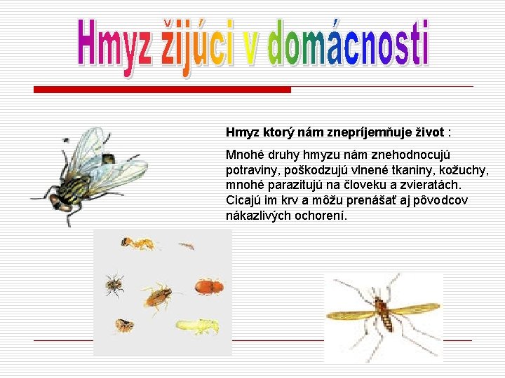 Hmyz ktorý nám znepríjemňuje život : Mnohé druhy hmyzu nám znehodnocujú potraviny, poškodzujú vlnené