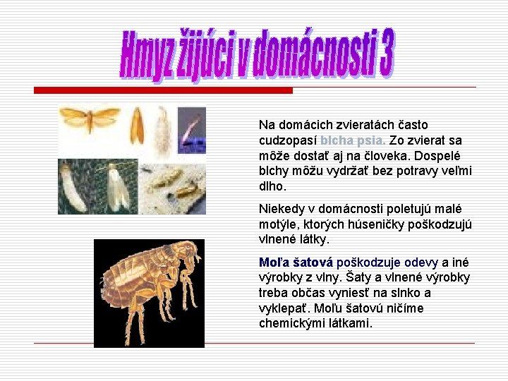Na domácich zvieratách často cudzopasí blcha psia. Zo zvierat sa môže dostať aj na