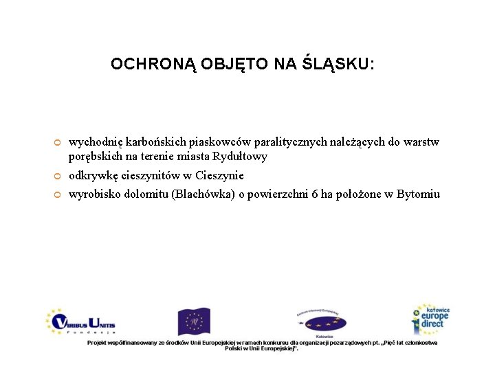 OCHRONĄ OBJĘTO NA ŚLĄSKU: wychodnię karbońskich piaskowców paralitycznych należących do warstw porębskich na terenie