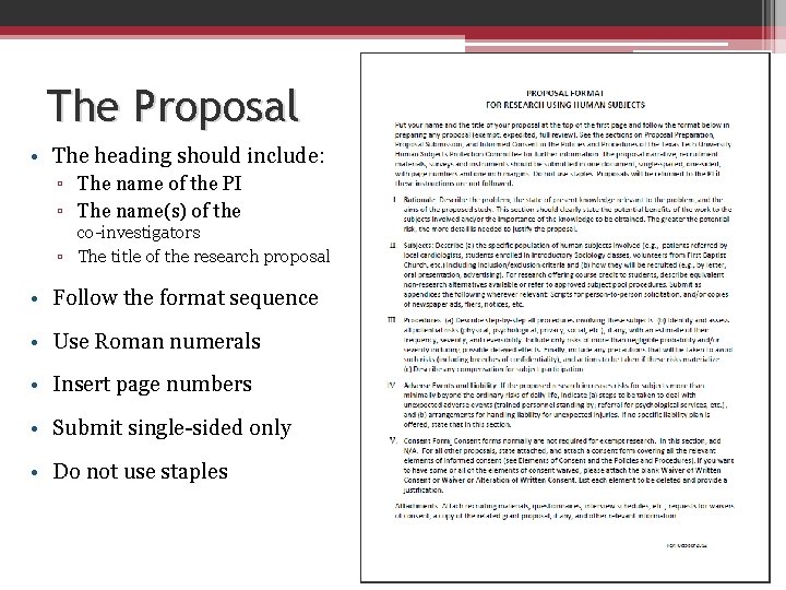 The Proposal • The heading should include: ▫ The name of the PI ▫