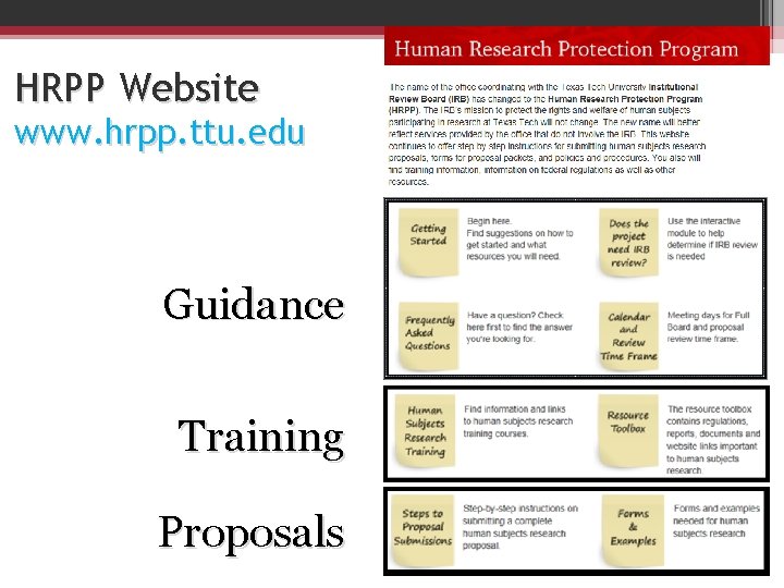 HRPP Website www. hrpp. ttu. edu Guidance Training Proposals 