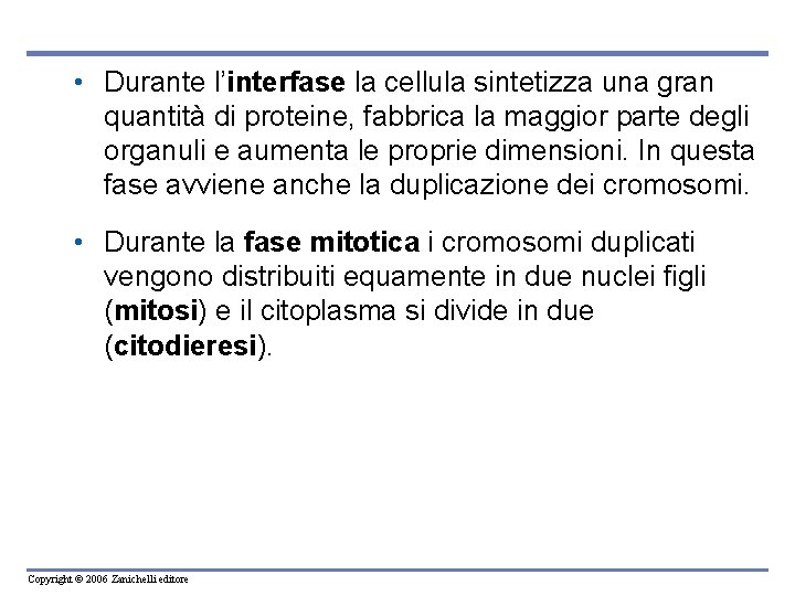  • Durante l’interfase la cellula sintetizza una gran quantità di proteine, fabbrica la