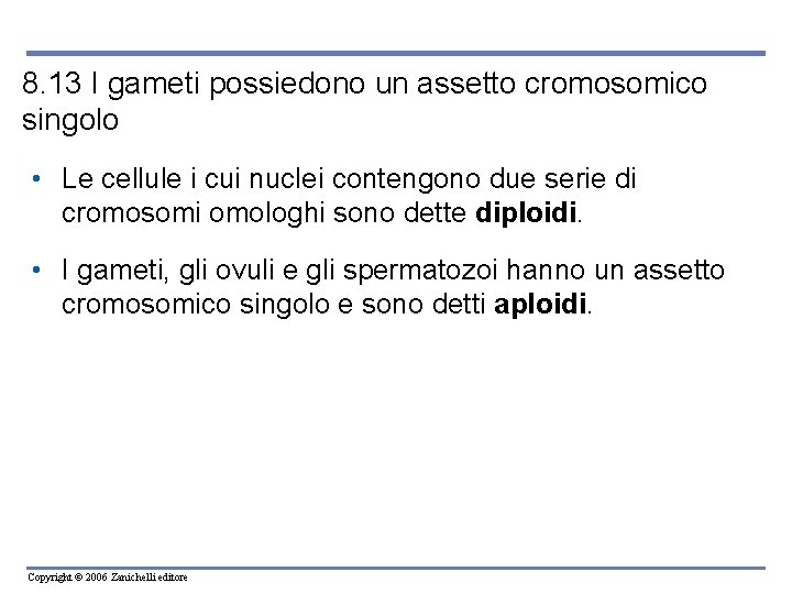 8. 13 I gameti possiedono un assetto cromosomico singolo • Le cellule i cui