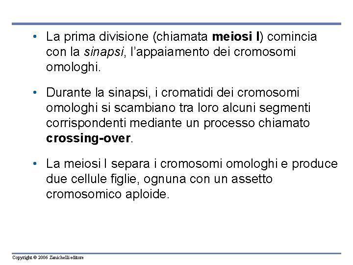  • La prima divisione (chiamata meiosi I) comincia con la sinapsi, l’appaiamento dei