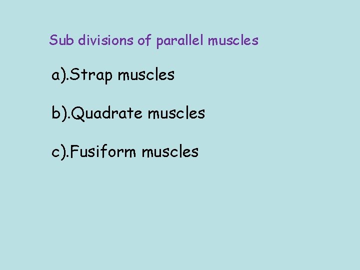 Sub divisions of parallel muscles a). Strap muscles b). Quadrate muscles c). Fusiform muscles