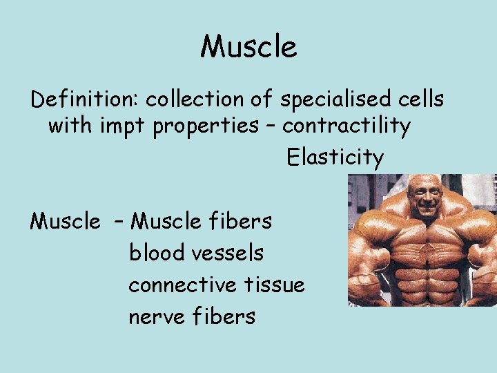 Muscle Definition: collection of specialised cells with impt properties – contractility Elasticity Muscle –