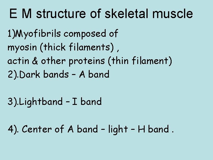 E M structure of skeletal muscle 1)Myofibrils composed of myosin (thick filaments) , actin