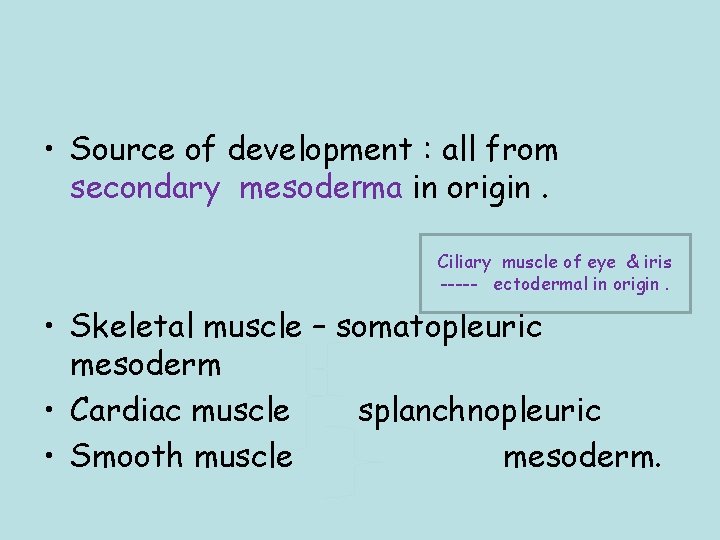  • Source of development : all from secondary mesoderma in origin. Ciliary muscle